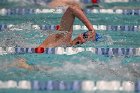 Swim vs Bentley  Wheaton College Swimming & Diving vs Bentley University. - Photo by Keith Nordstrom : Wheaton, Swimming & Diving